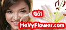 HaVyFlower.com - Gửi Hoa, Gửi qu&agrave; về Việt Nam! Click here!