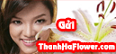 ThanhHaFlower.com - Mua Hoa, Gui Qua Ve Viet Nam !