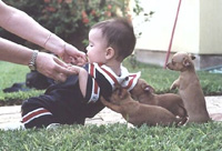 Helping Friends