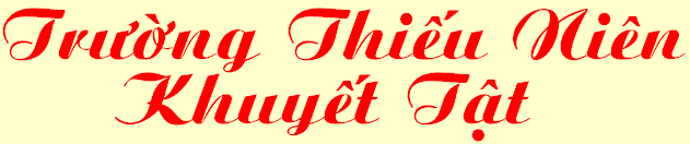Tru+o+`ng Thie^'u Nie^n Khuye^'t Ta^.t
