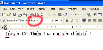 Type Vietnamese texts 