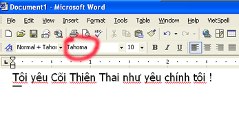 Type Vietnamese texts